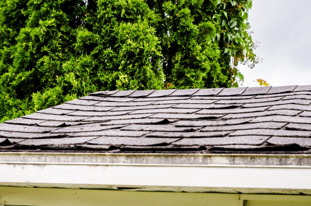 Damaged roof with mold